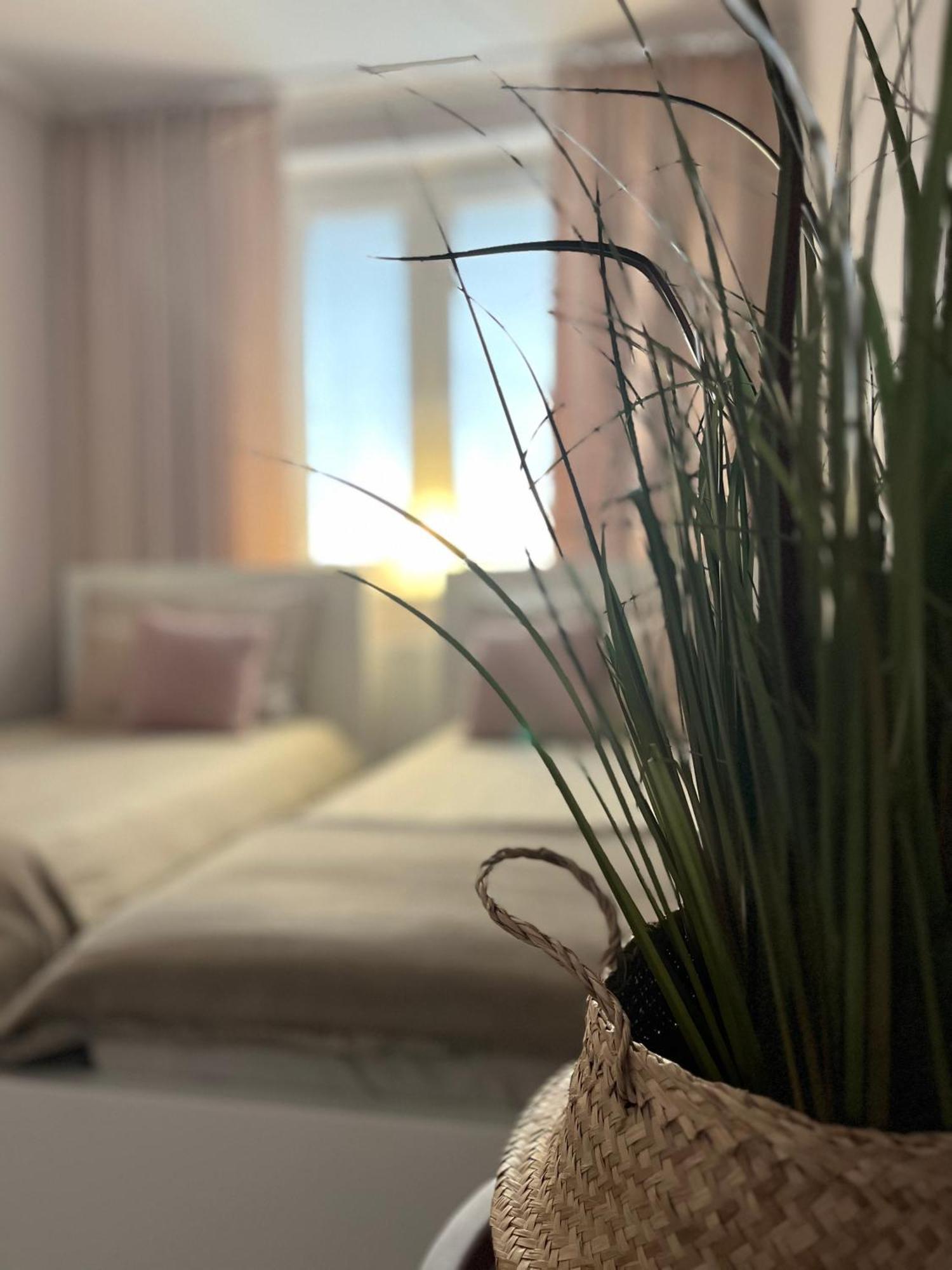 Apartament Przy Obserwatorium&Singielnia ออลชติน ภายนอก รูปภาพ